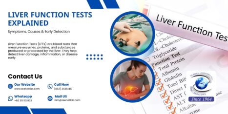 Zeenat Lab 17 - Serving since 1964 | Zeenat Lab Liver Function Tests Explained Symptoms Causes Early Detection - Authentic Zeenat Laboratory | Dr. Zeenat Hussain legacy