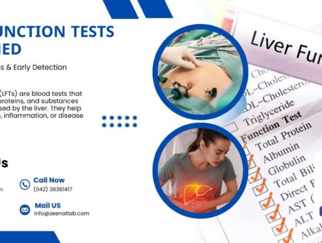 Liver Function Tests Explained Symptoms Causes Early Detection - Authentic Zeenat Laboratory | Dr. Zeenat Hussain legacy