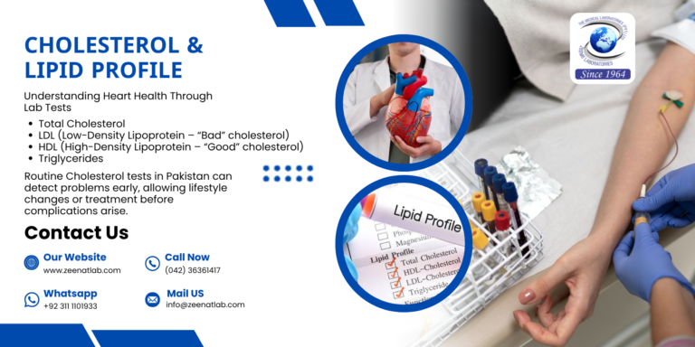 Cholesterol & Lipid Profile: Understanding Heart Health Through Lab Tests