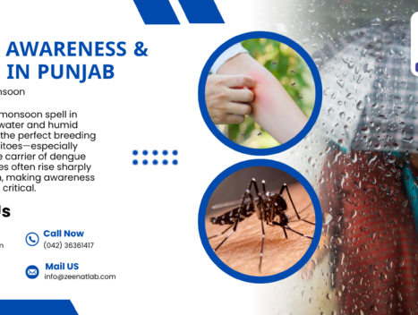 Dengue Awareness Testing in Punjab Stay Safe This Monsoon - Authentic Zeenat Laboratory | Dr. Zeenat Hussain legacy
