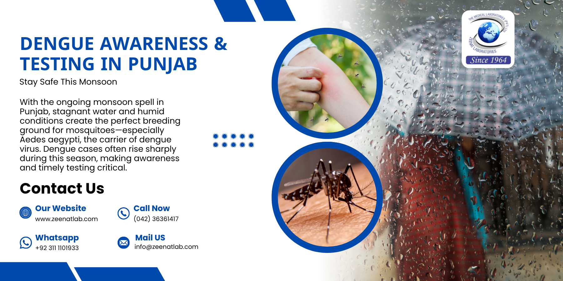 Dengue Awareness & Testing in Punjab | Monsoon Safety with Zeenat Lab
